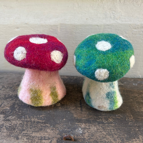 Mushrooms ~ red or bluey/green