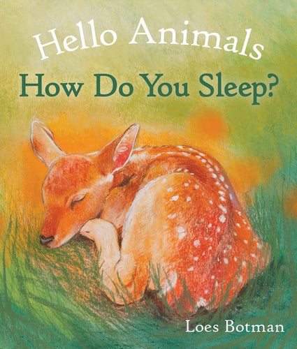 Hello Animals ~ How Do You Sleep? by Loes Botman (board book)