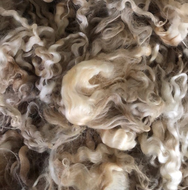 UNWASHED Undyed English Leicester Fleece
