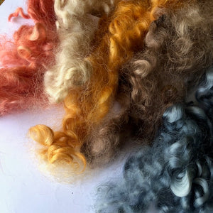 Earthy ~ hand dyed English Leicester Fleece