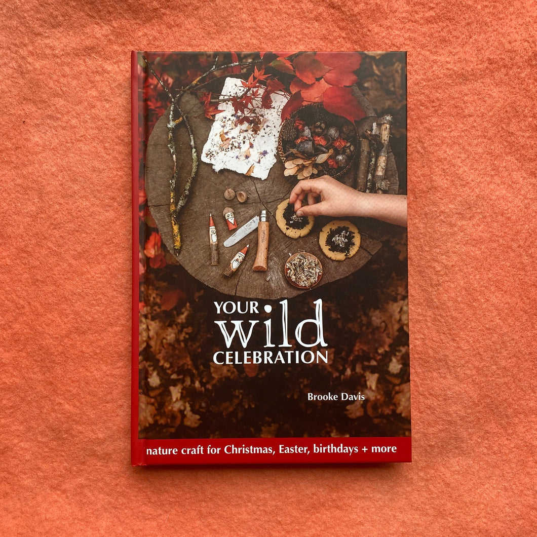 Your Wild Celebrations ~ nature craft for Christmas, Easter, birthdays + more by Brooke Davis