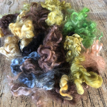 Load image into Gallery viewer, Earthy ~ hand dyed English Leicester Fleece