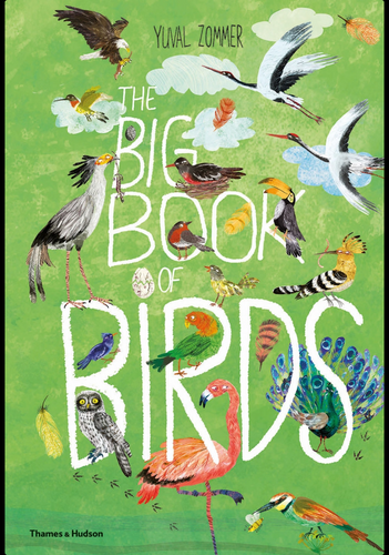 The Big Books of Birds by Yuval Zommer