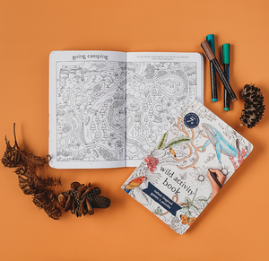 Your Wild Activity Book ~ nature inspired games + puzzles by Brooke Davis