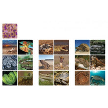 Load image into Gallery viewer, WWF Memory Matching Game - Reptiles