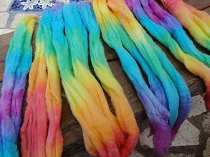 Rainbow hand painted fleece